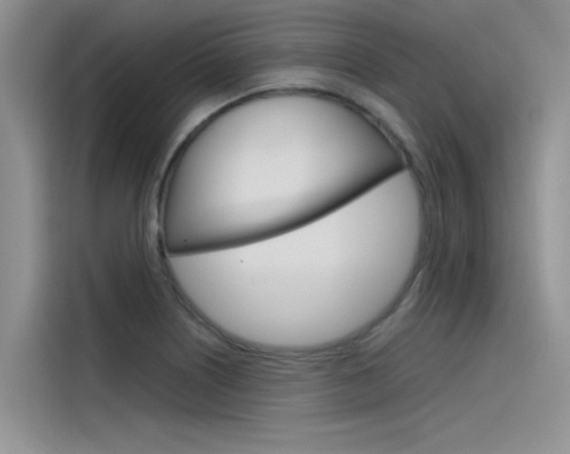 X0000115781226200911130959