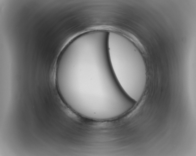 X0000115781228200911131000