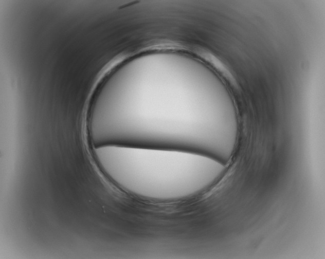 X0000115781229200911131000