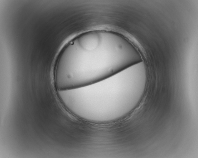 X0000115781230200911131000