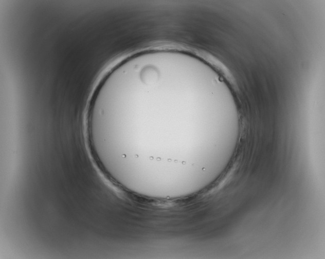 X0000115781231200911131000