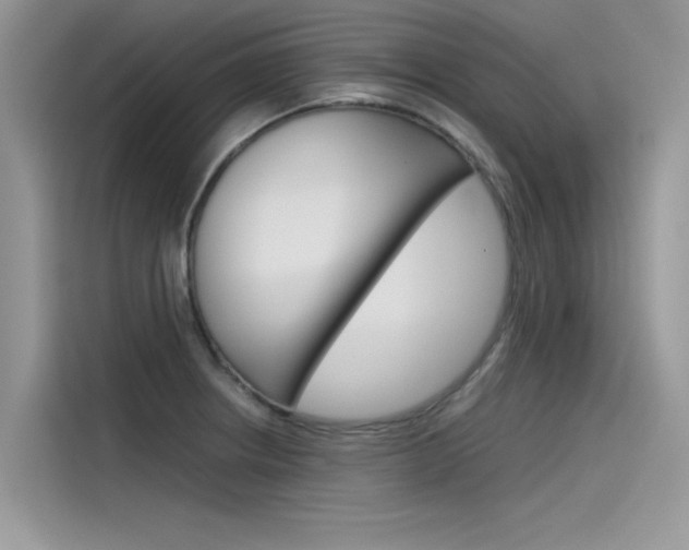 X0000115781234200911131000
