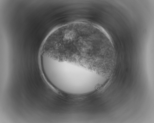 X0000115781235200911131000