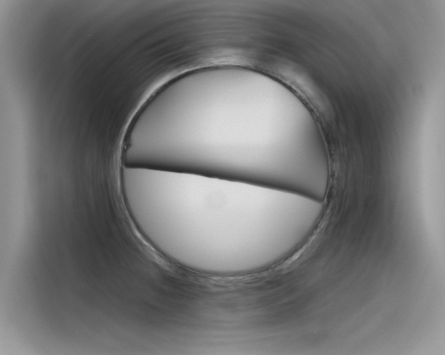 X0000115781236200911131000