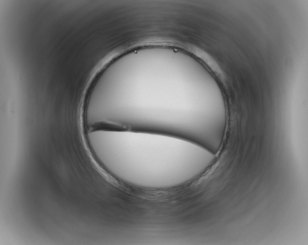 X0000115781237200911131000