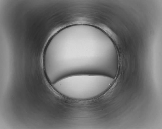 X0000115781238200911131000