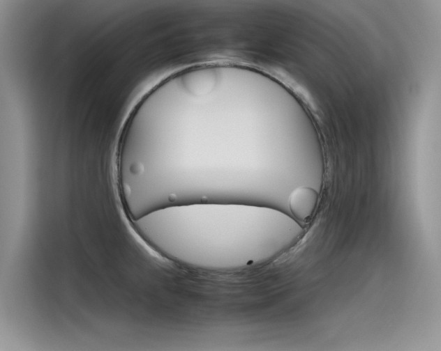 X0000115781239200911131000