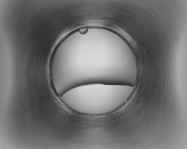 X0000115781240200911131000