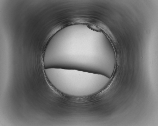 X0000115781241200911131000