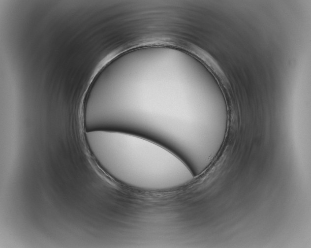 X0000115781242200911131000
