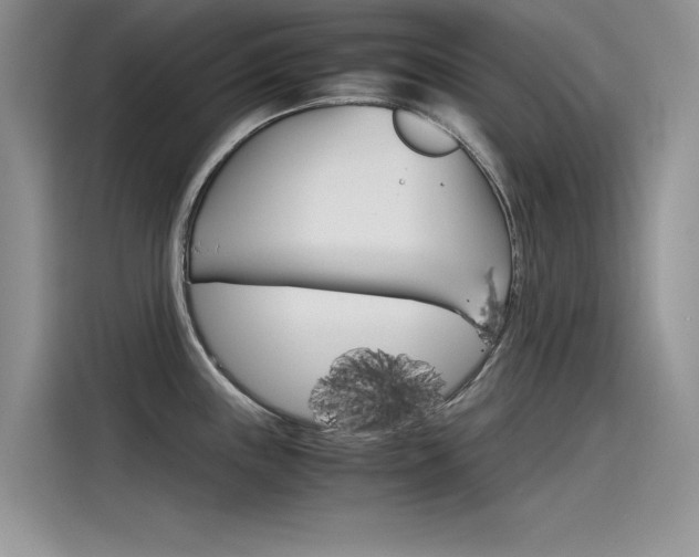 X0000115781243200911131000