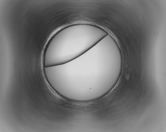 X0000115781246200911131000