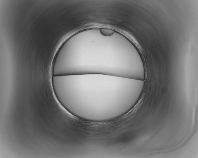 X0000115781247200911131000
