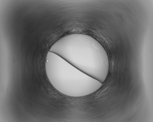 X0000115781250200911130959