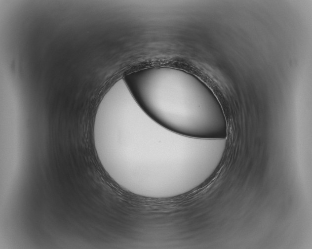 X0000115781252200911130959