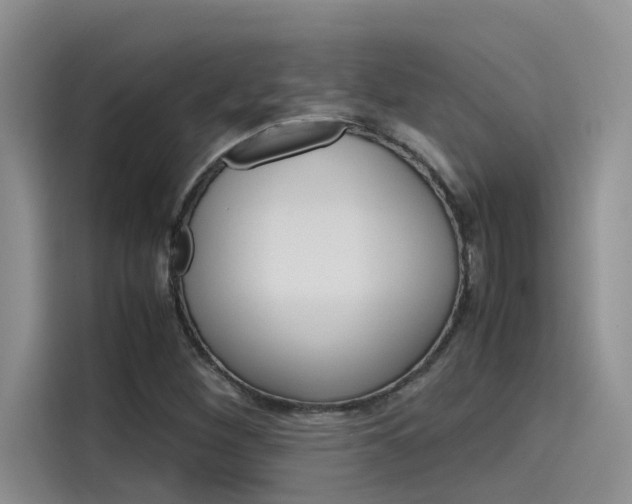 X0000115781260200911130959