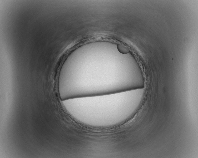 X0000115781261200911130959