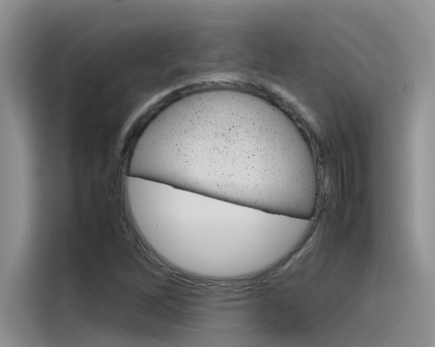 X0000115781262200911130959