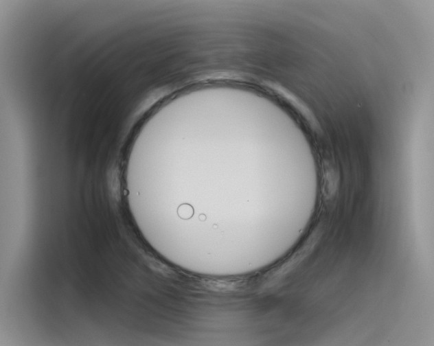 X0000115781266200911130959