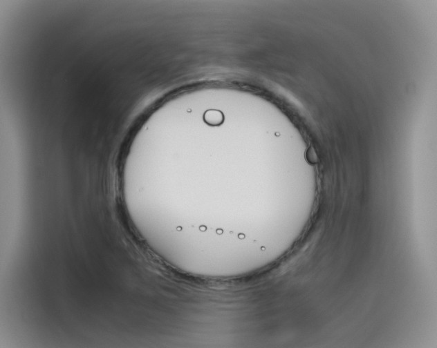 X0000115781267200911130959