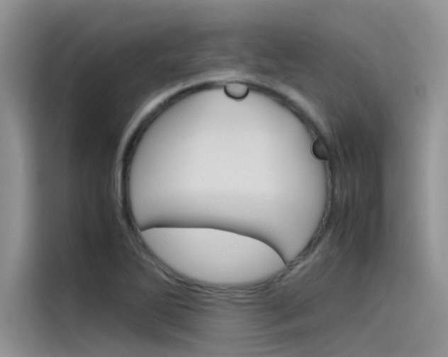 X0000115781270200911130959