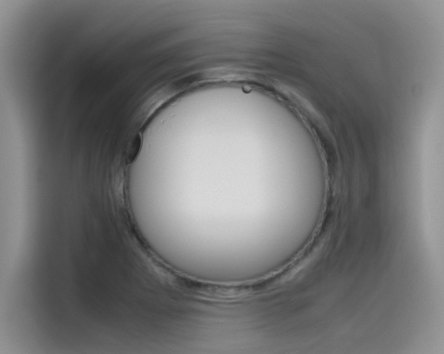 X0000115781273200911130959