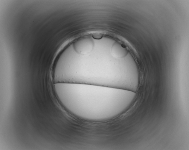 X0000115781274200911130959