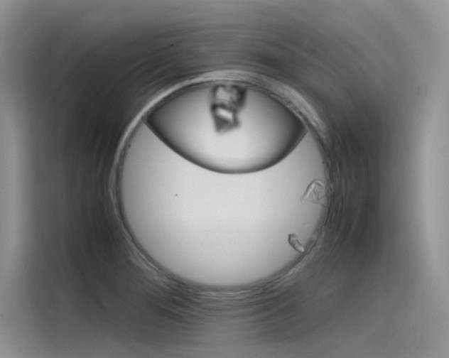 X0000115781276200911130959