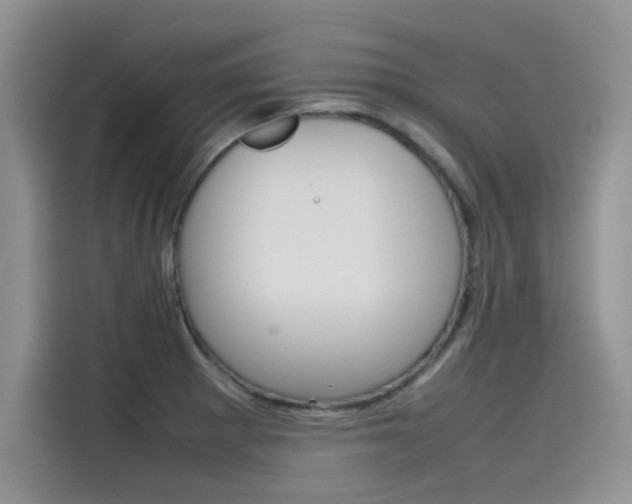 X0000115781281200911130959