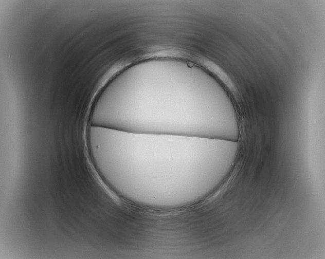 X0000115781282200911130959