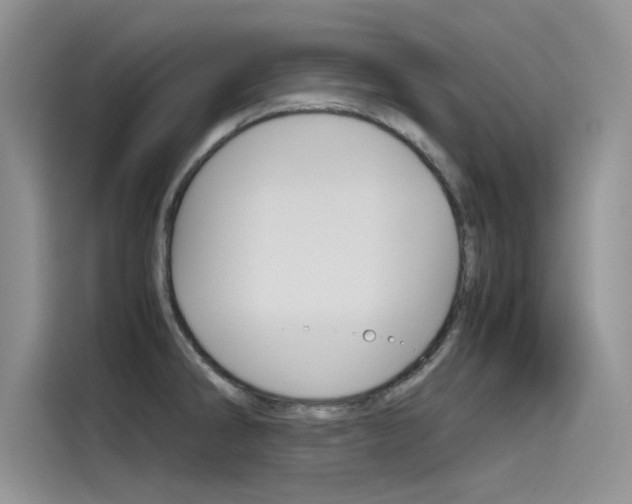 X0000115781286200911130959