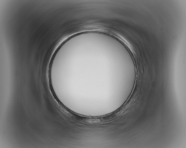 X0000115781291200911130959