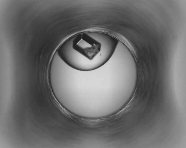 X0000115781292200911130959