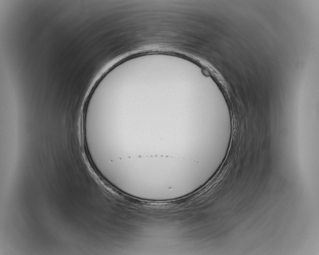 X0000115781295200911130959