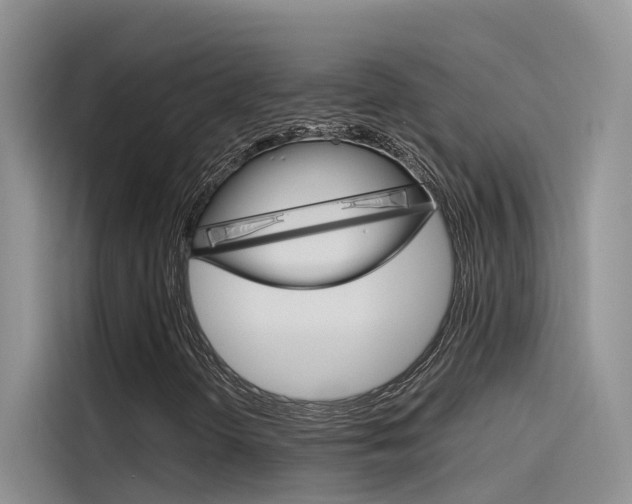 X0000115781298200911130958