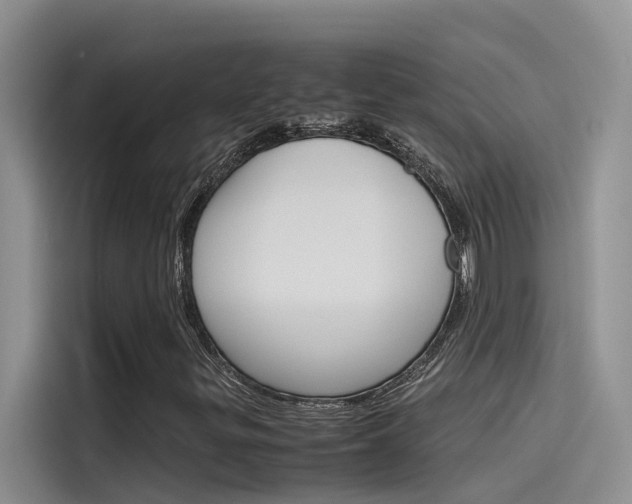 X0000115781299200911130958