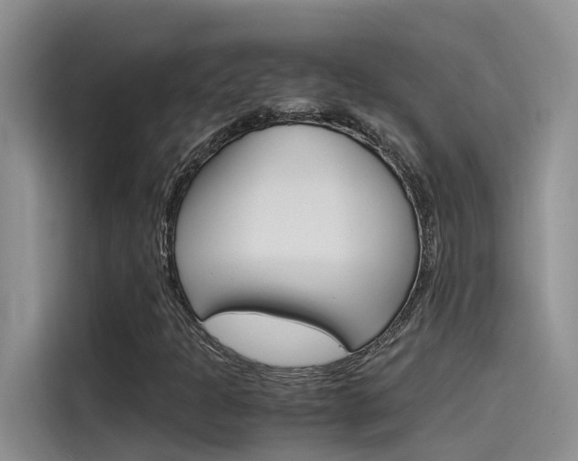 X0000115781301200911130958