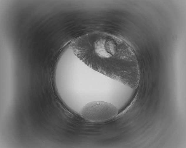 X0000115781305200911130958
