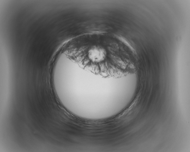 X0000115781307200911130958