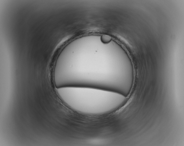 X0000115781309200911130958
