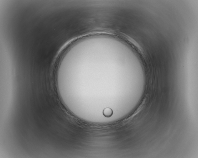 X0000115781310200911130958