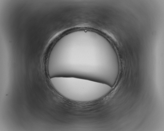 X0000115781311200911130958