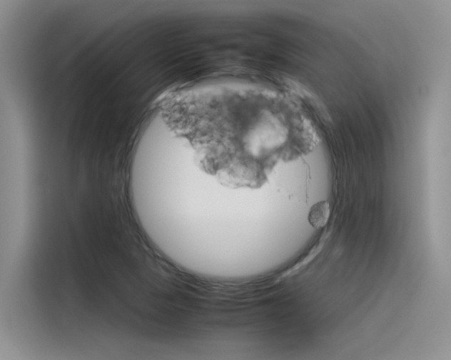 X0000115781313200911130958