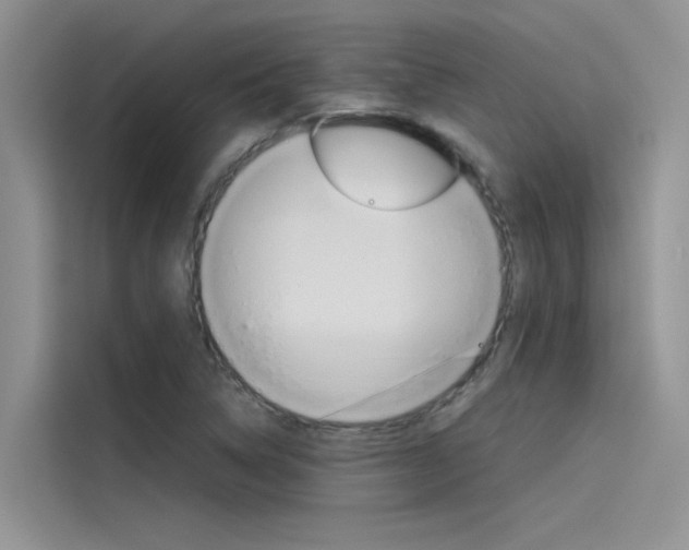 X0000115781314200911130958
