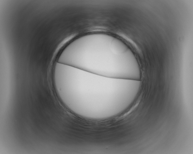 X0000115781317200911130958