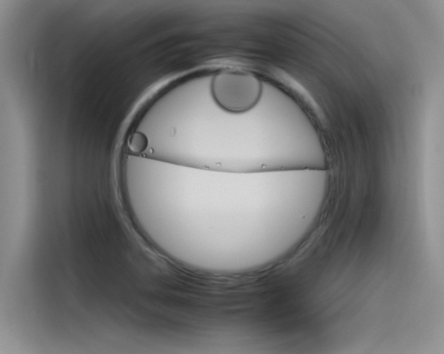 X0000115781323200911130958