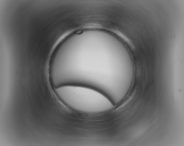 X0000115781325200911130958