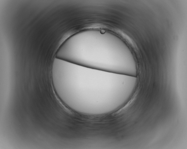 X0000115781329200911130958