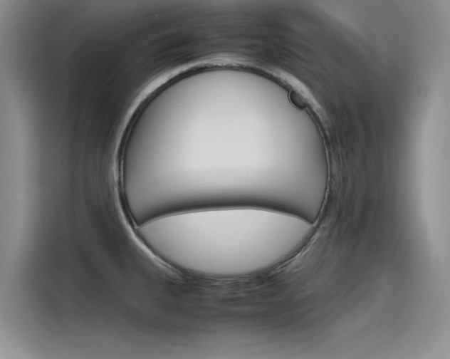 X0000115781335200911130958