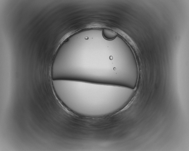 X0000115781337200911130958